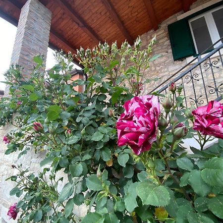 Villa Kortina Bašanija Eksteriør bilde