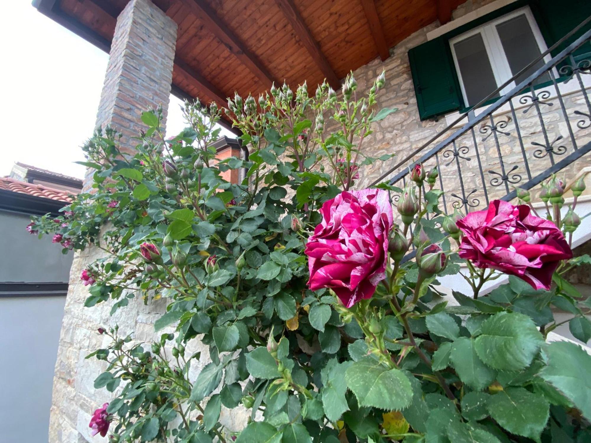 Villa Kortina Bašanija Eksteriør bilde